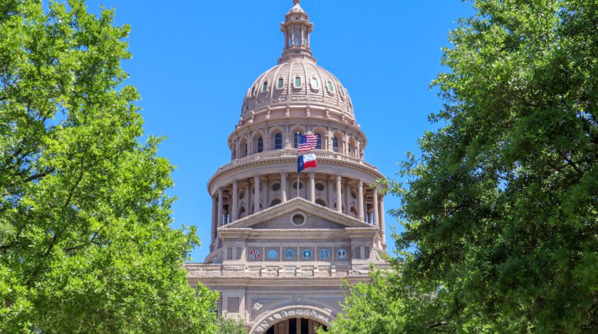 building with american and texas flag waving and obscured by foliage